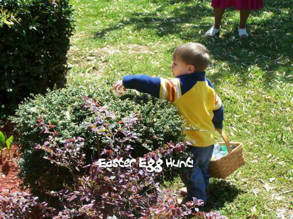 A Little Boy Hunting Easter Eggs