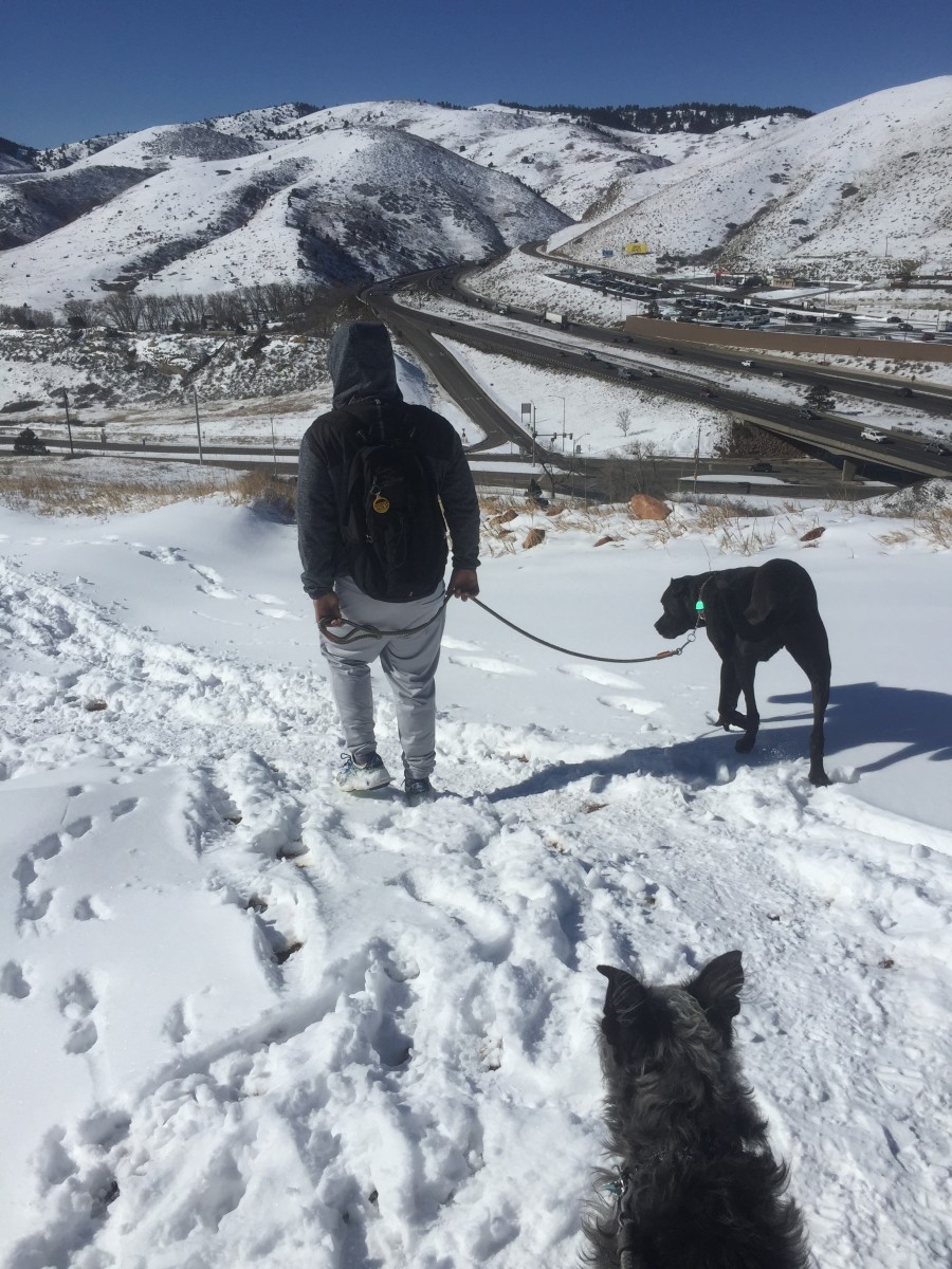 Hiking with dogs