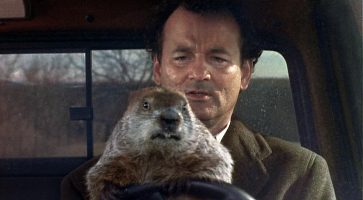 Phil (Bill Murray) riding with Punxsutawney Phil in the movie Groundhog Day