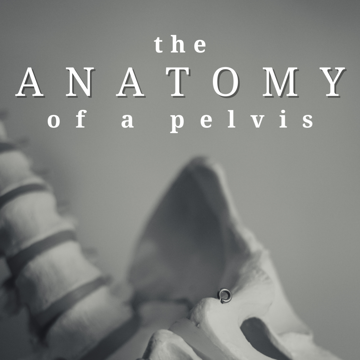 All about the pelvis