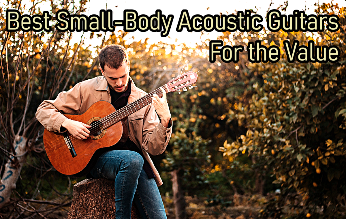 5 Best Value Small-Body Acoustic Guitars