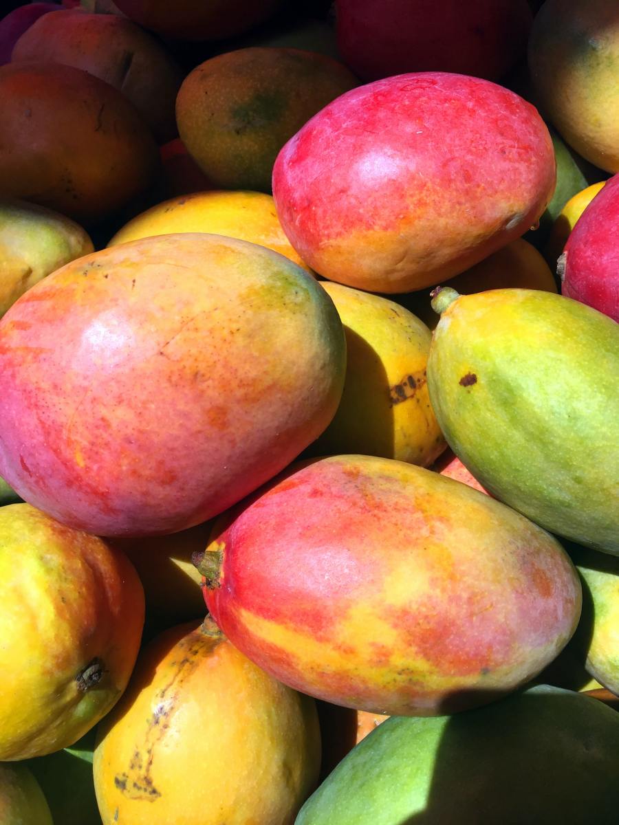 Top 6 Benefits of Mango
