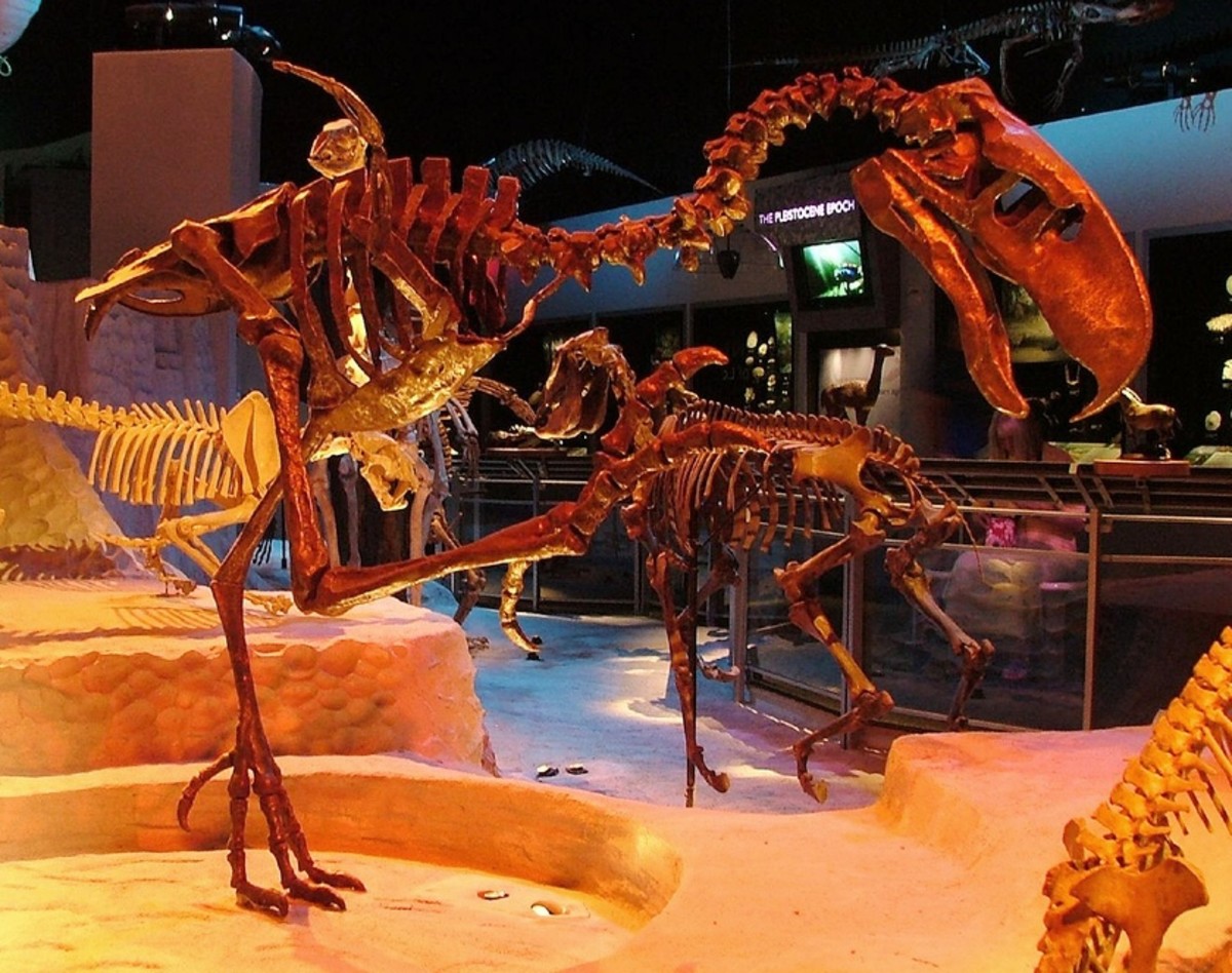 prehistoric-predators