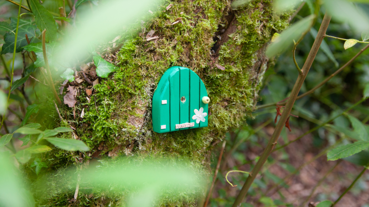Turquoise fairy door nailed to a tree
