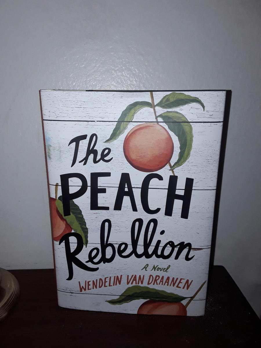 Peaches, Family Love, Friendship, and History in Engaging Novel for the YA Audience