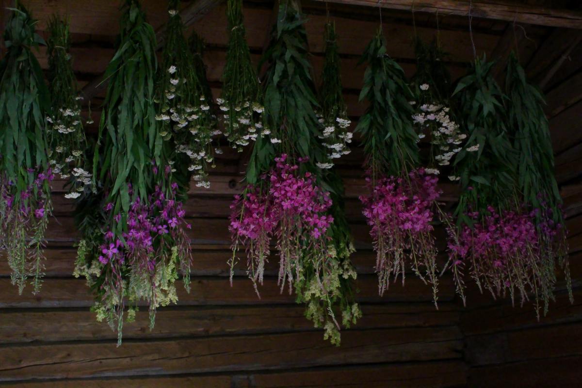 You can harvest several herbs at once and hang them up to dry together
