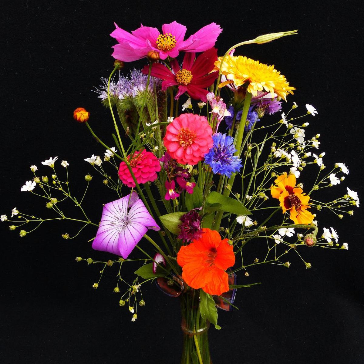 Pick some "wild" flowers like nasturtiums, zinnia, and cosmos from around your garden to create a floral bouquet to brighten someone's day. 
