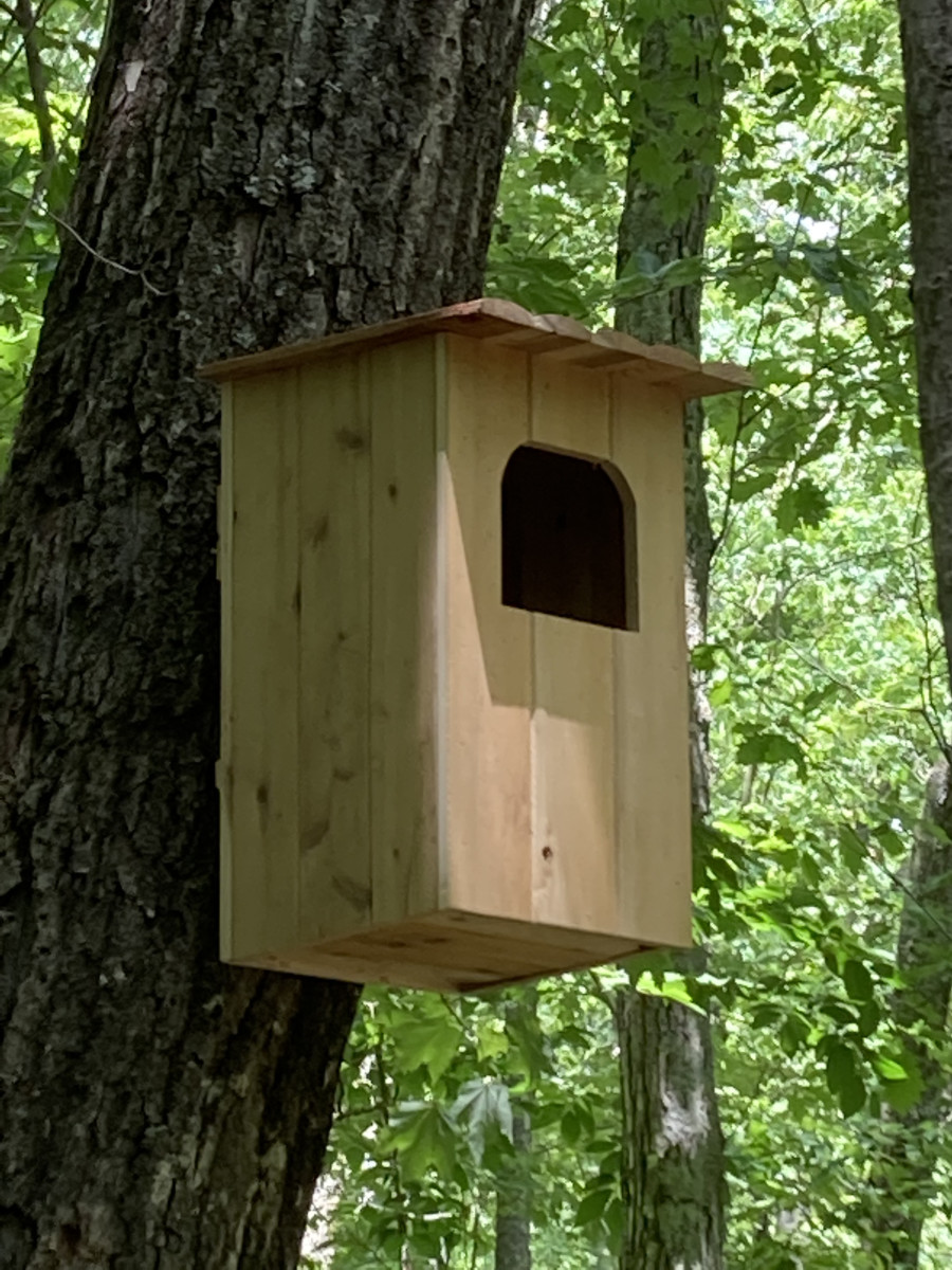 Conservation Barred Owl House Kit Barred Owl Nesting Box Barred Owl 