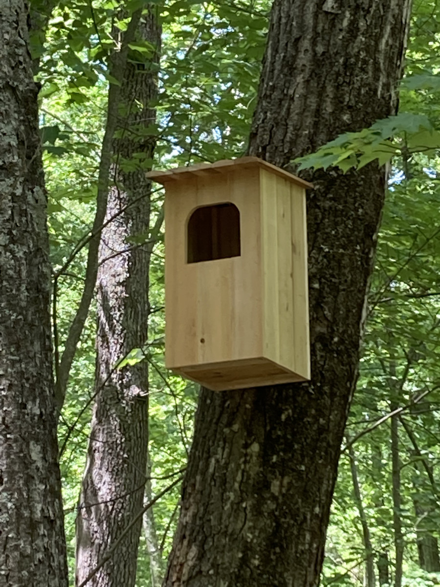 Barred Owl Nest Box
