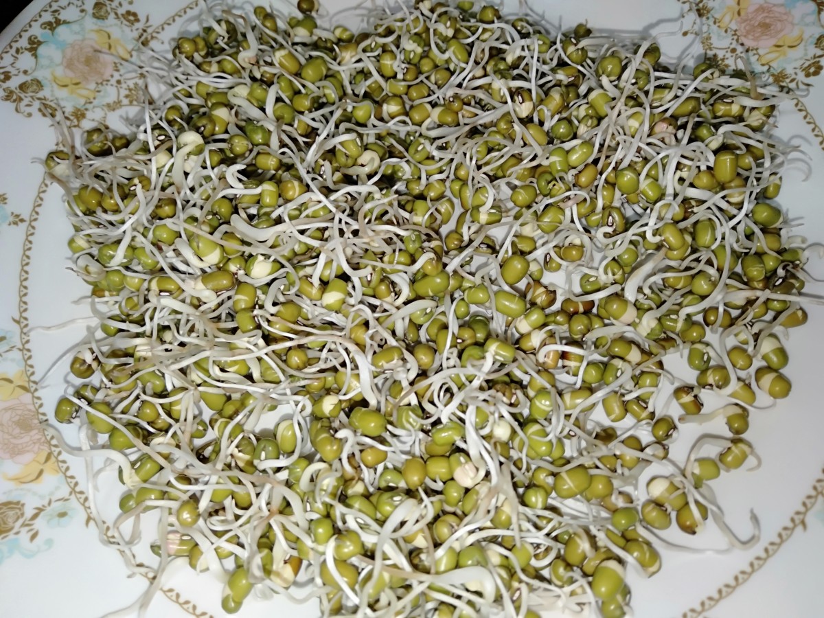 This is what moong sprouts look like.