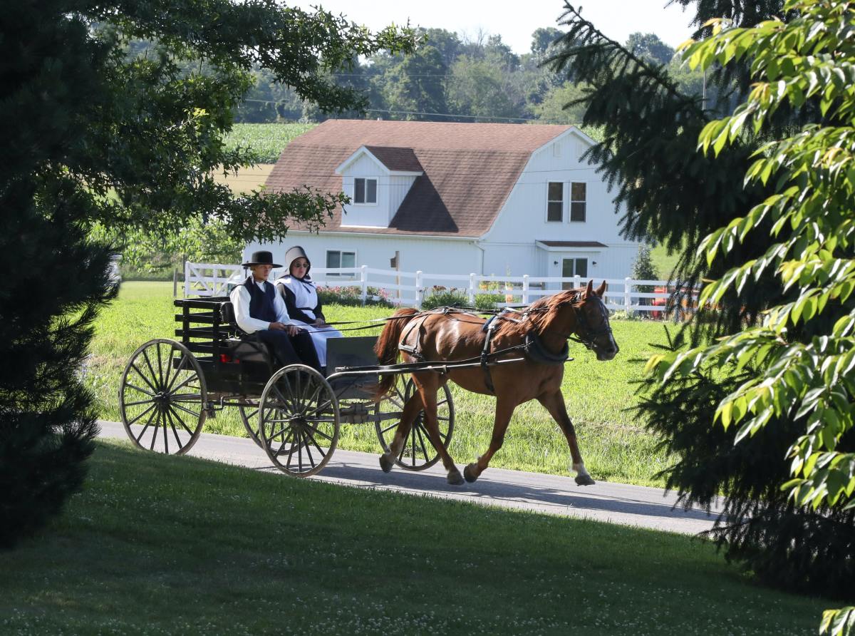 10 Amish Ways of Life That May Surprise You