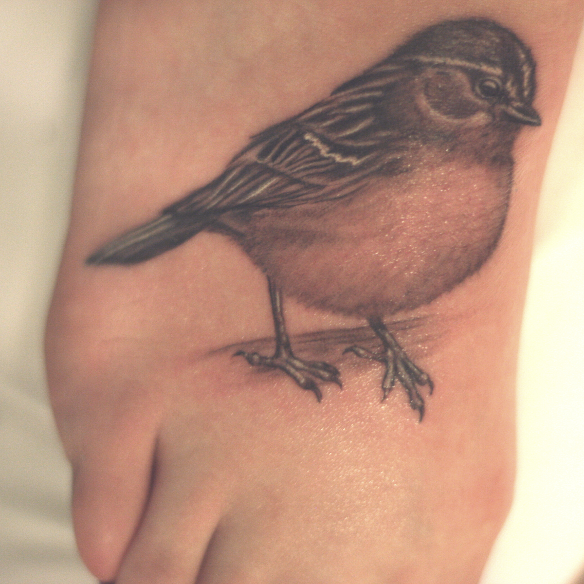 Sparrow tattoo on the foot.