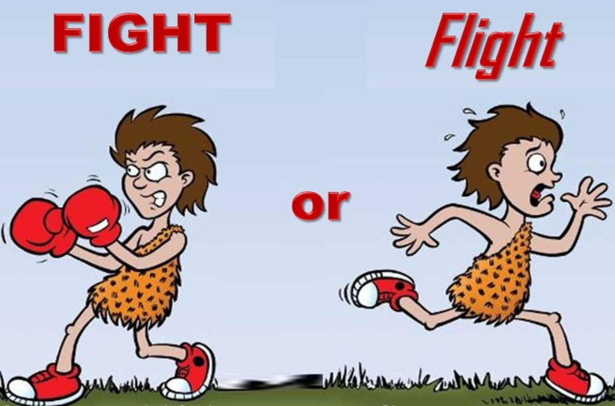 Fight Or Flight 88 