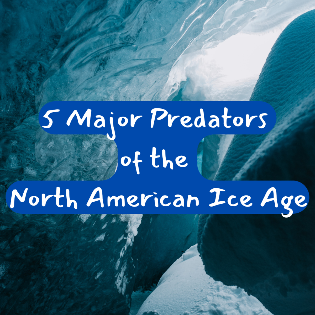 Read on to learn about 5 major Ice Age predators of the North American continent. These Pleistocene predators are sure to fascinate and frighten!