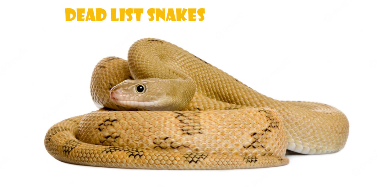 top-10-snakes-most-dangrous-in-whole-world