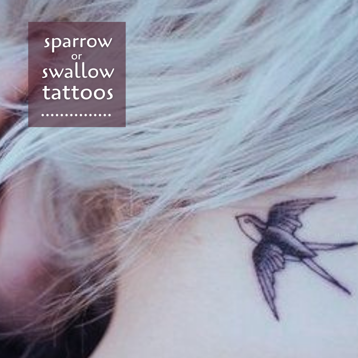 Sparrow or swallow tattoo... what's the difference? (Clue: swallows have split tails.)
