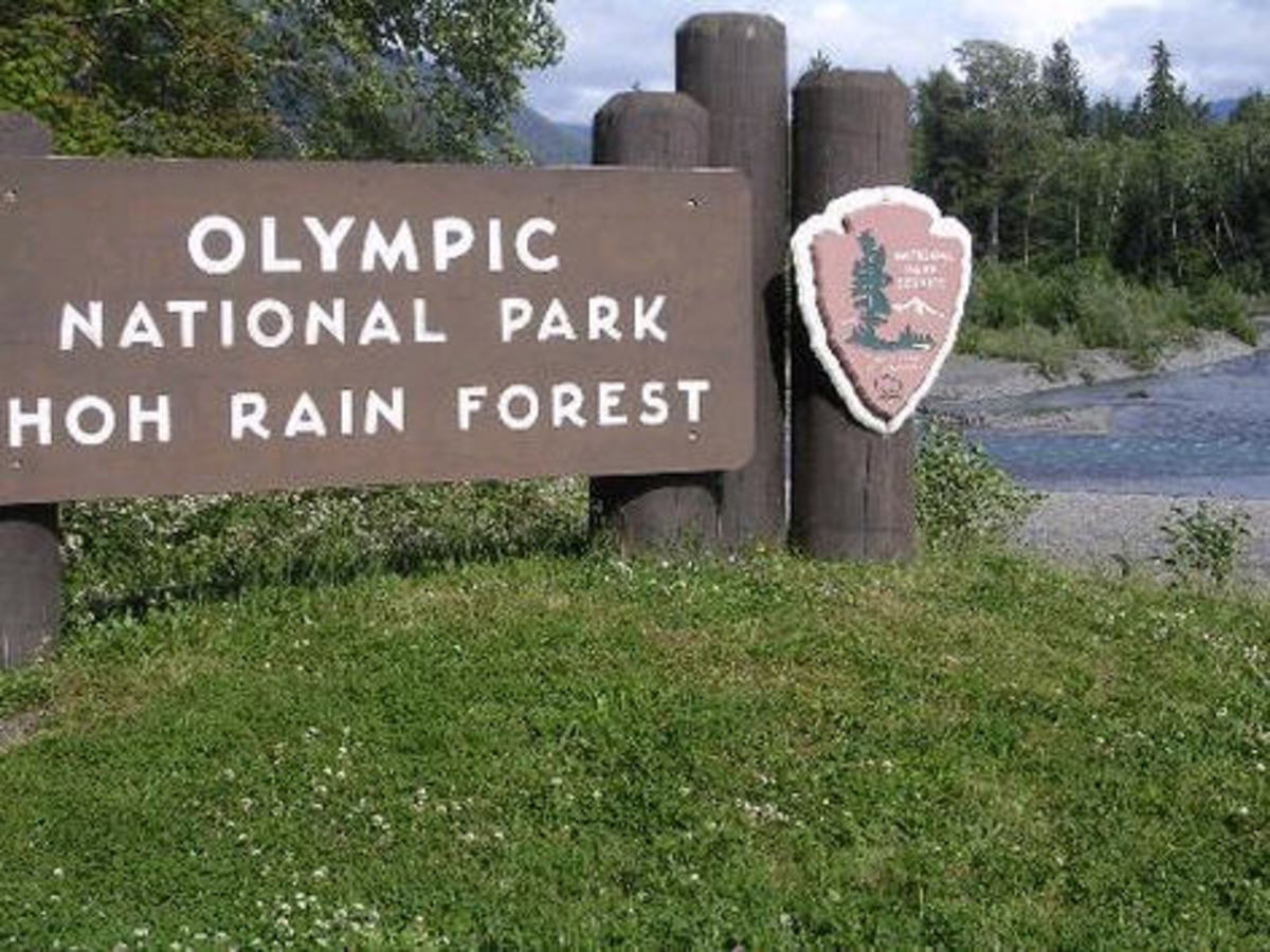 Olympic National Park entrance picture