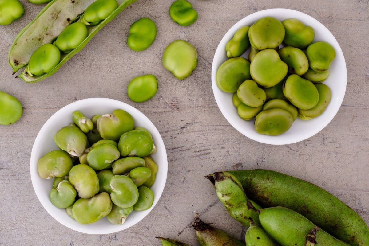 Fava bean skins aren't harmful, but the outer coating is bitter and tough.