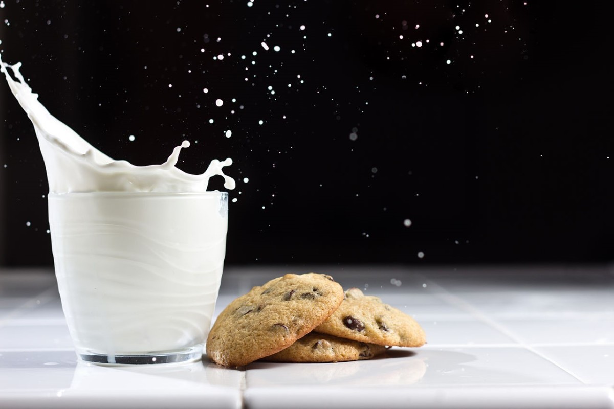 Make 3 Different Types of Dishes With Milk and Cream, and Know the Recipe for Making Them