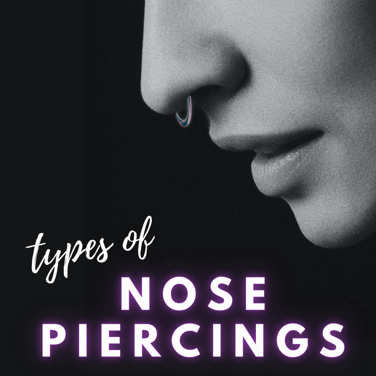 Several different types of nose piercings for you to consider.