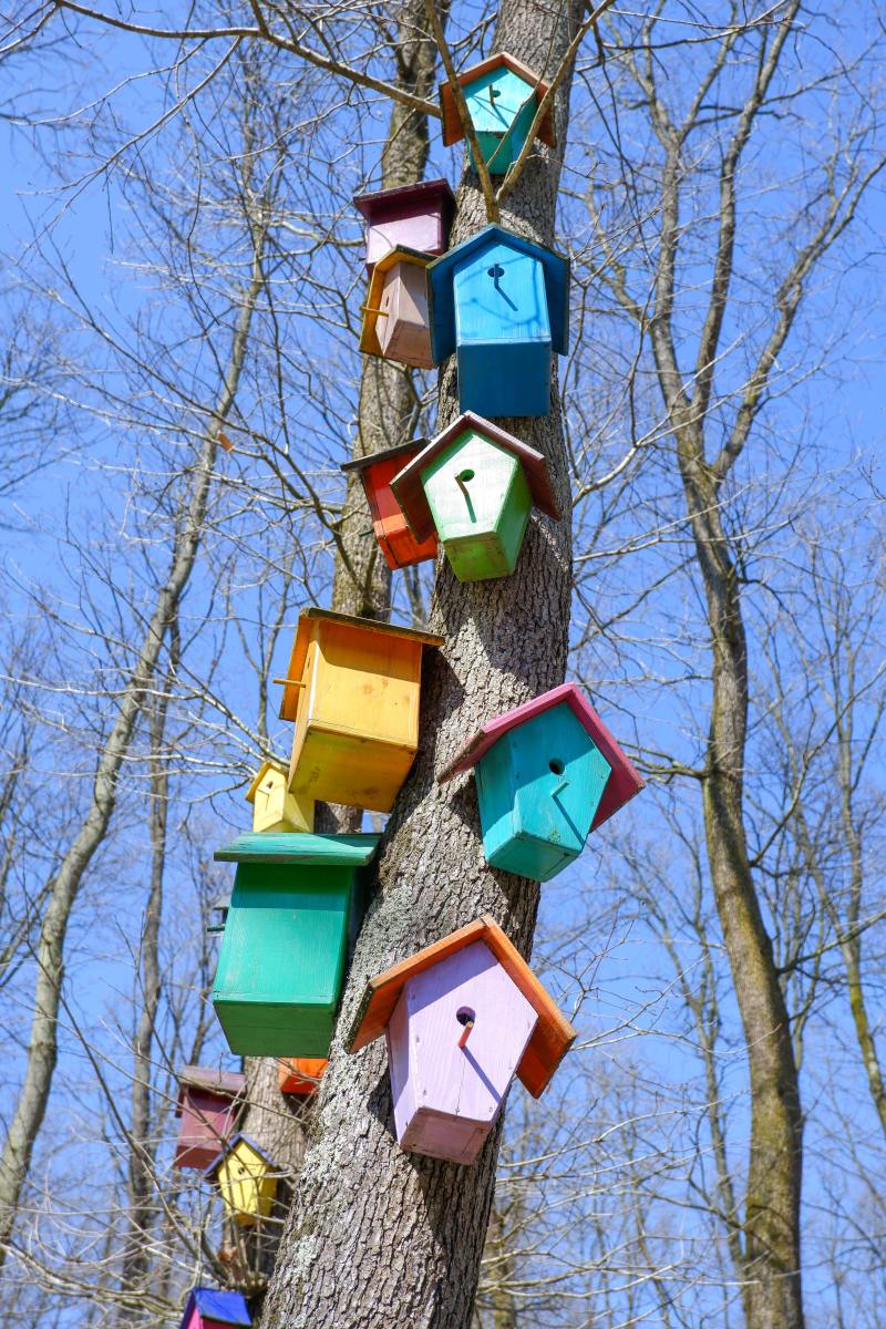 A series of colorful birdhouses on a tree.