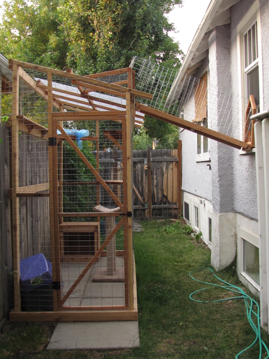 A catio can be a great way to get your cat outdoors without having to worry that they'll get themselves into trouble.