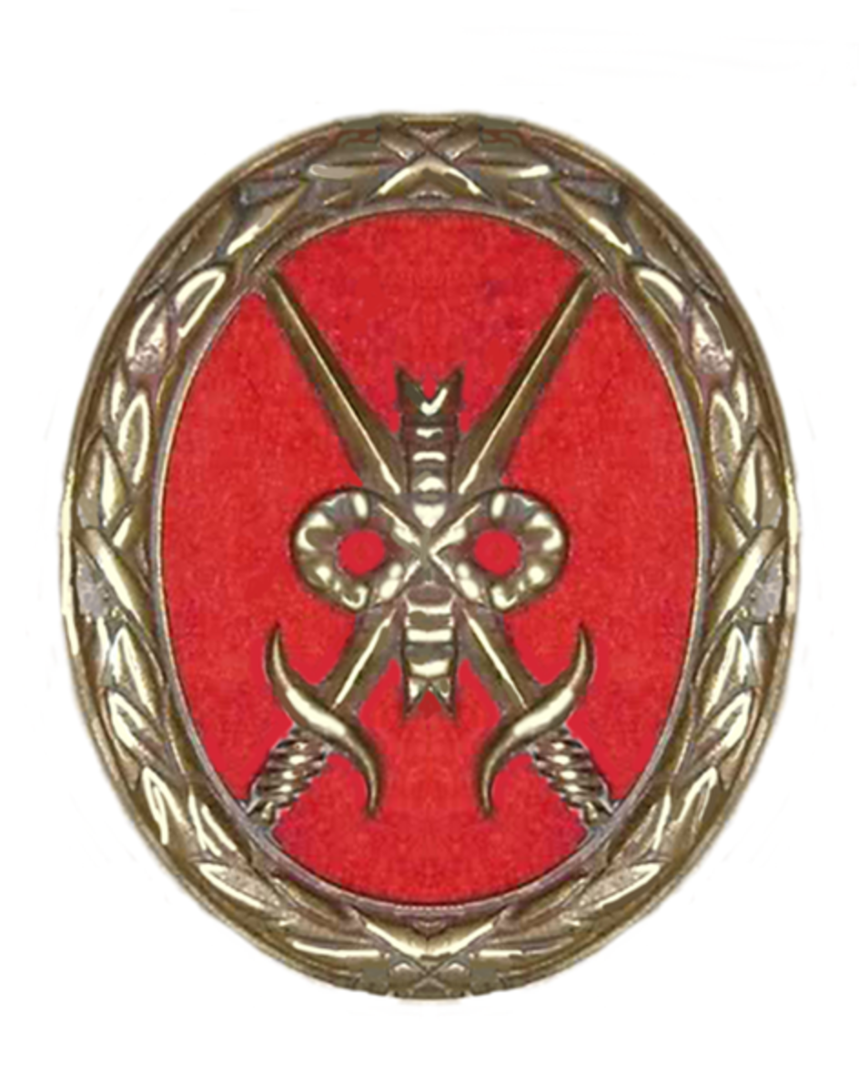 The Médallion des Deux Épées (Medallion of the Two Swords) that was conferred on Jean Thurel three times.