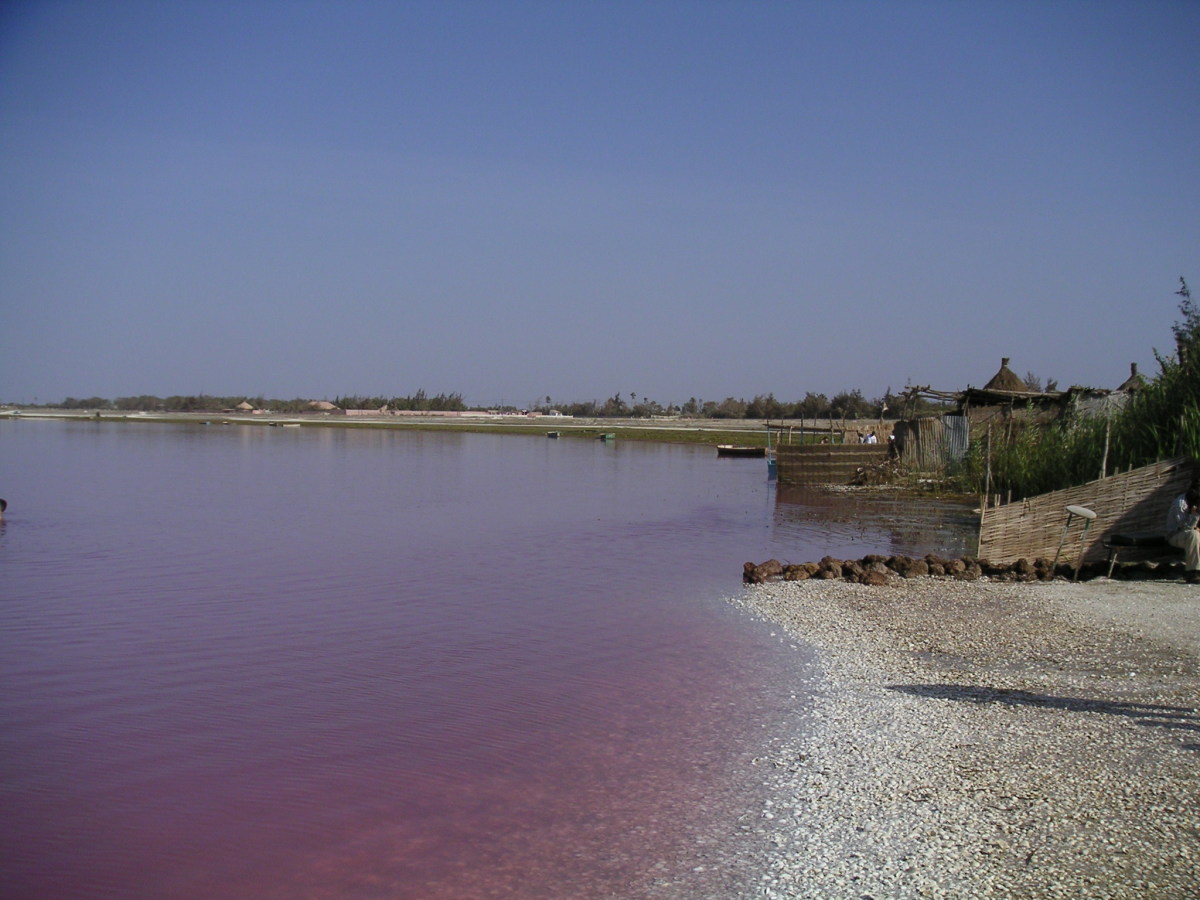 The unique pink waters of Lake Retba, Senegal