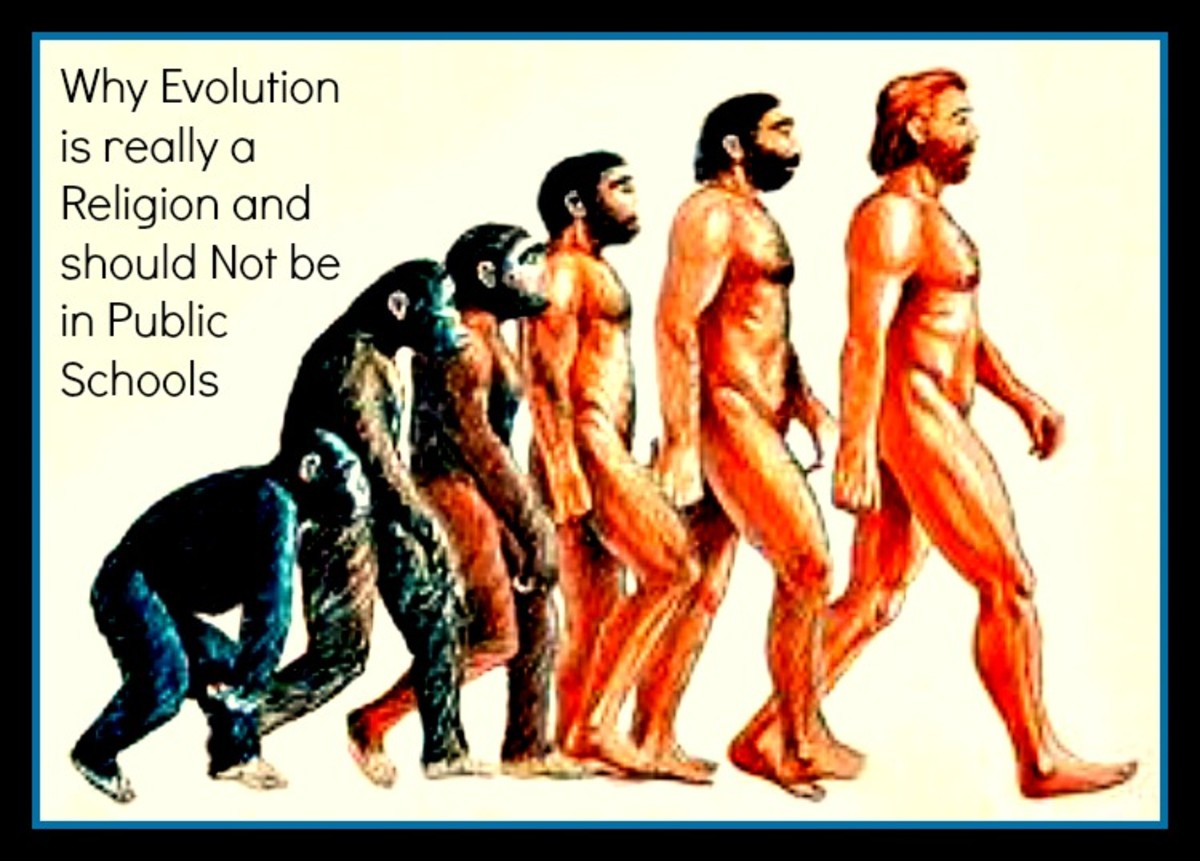 Record Evolving  Why Is Evolution Controversial Anyway