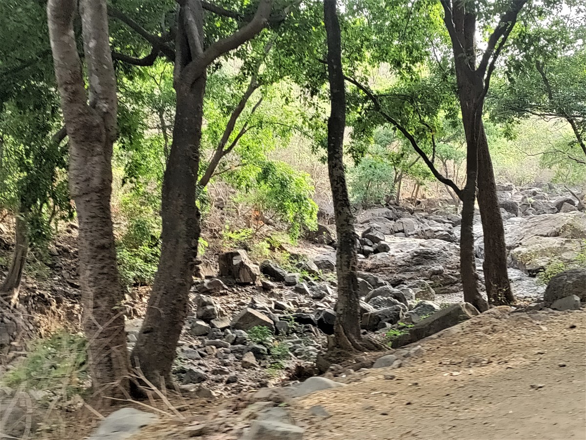 Dry river on the road to Tungareshwar temple 1 