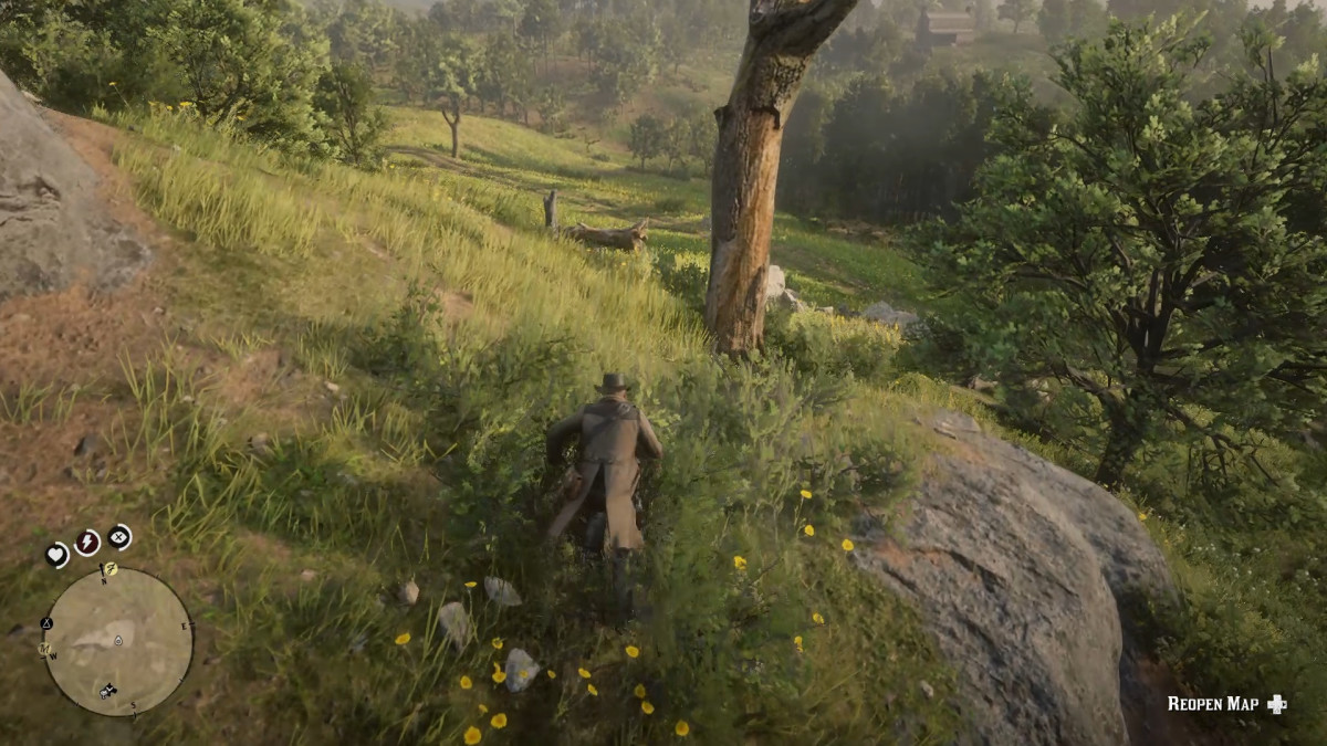 Pass by this tree, your tree will be down the hill on the left. 