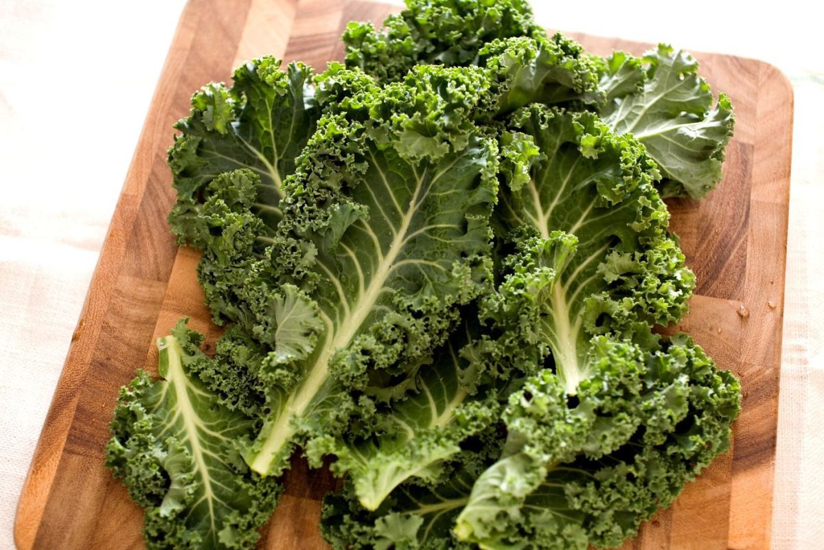 Can I Eat Kale With Black Spots?