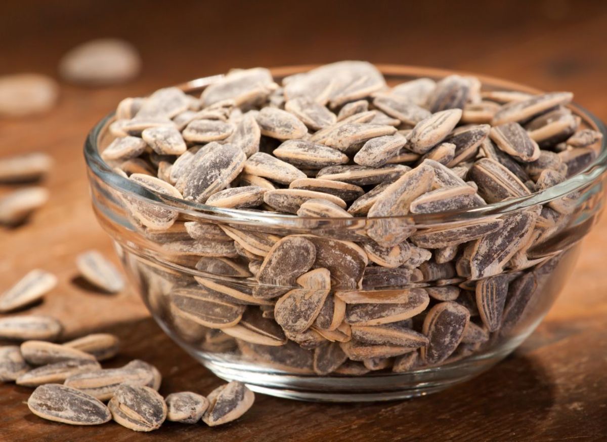 can-you-have-sunflower-seeds-if-you-have-braces