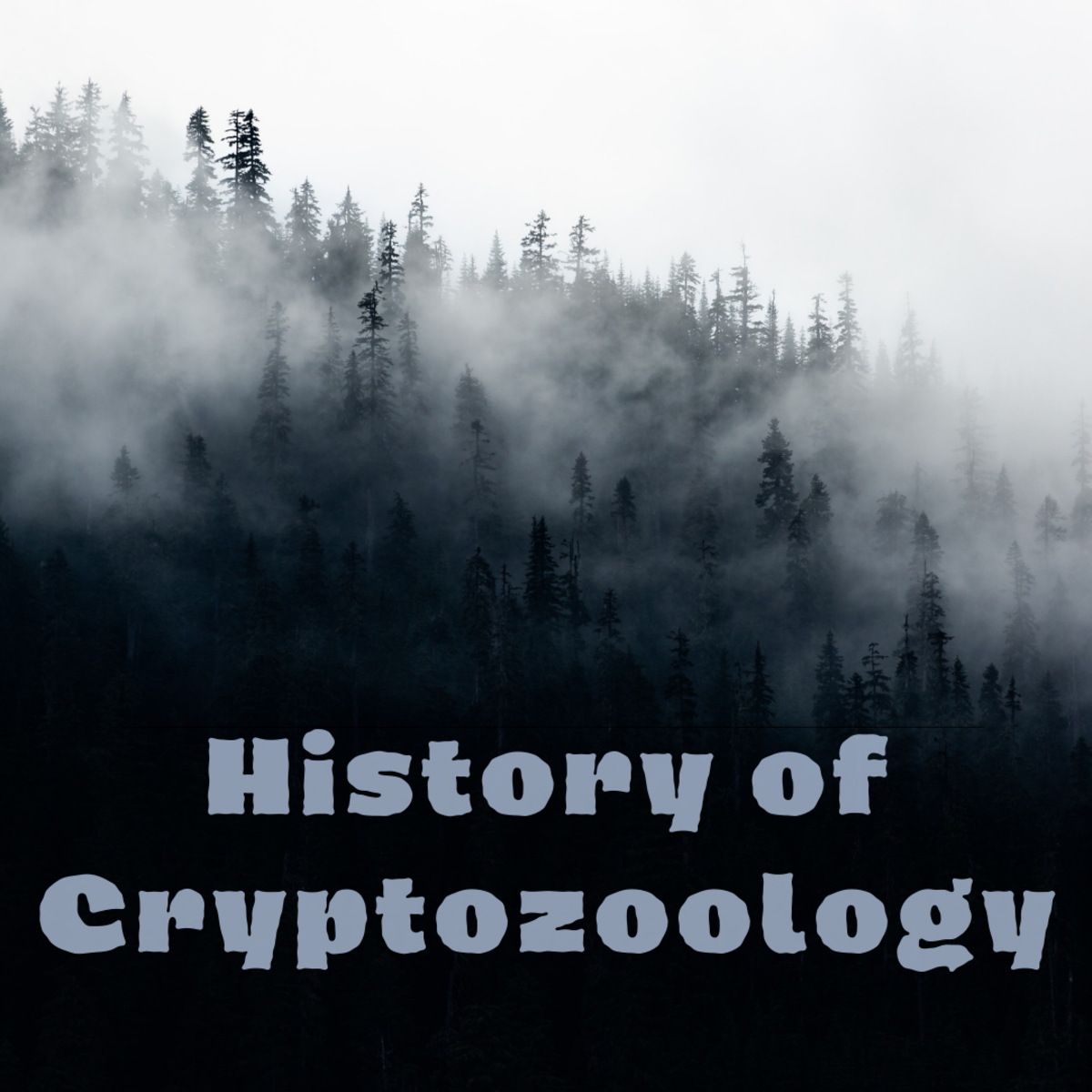 Cryptozoology is a mysterious and fascinating field.