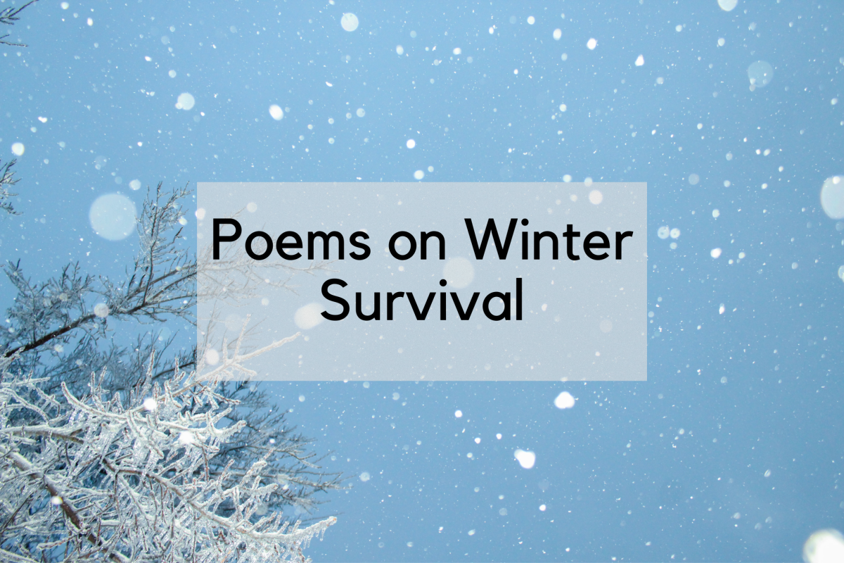 Poems based on winter survival