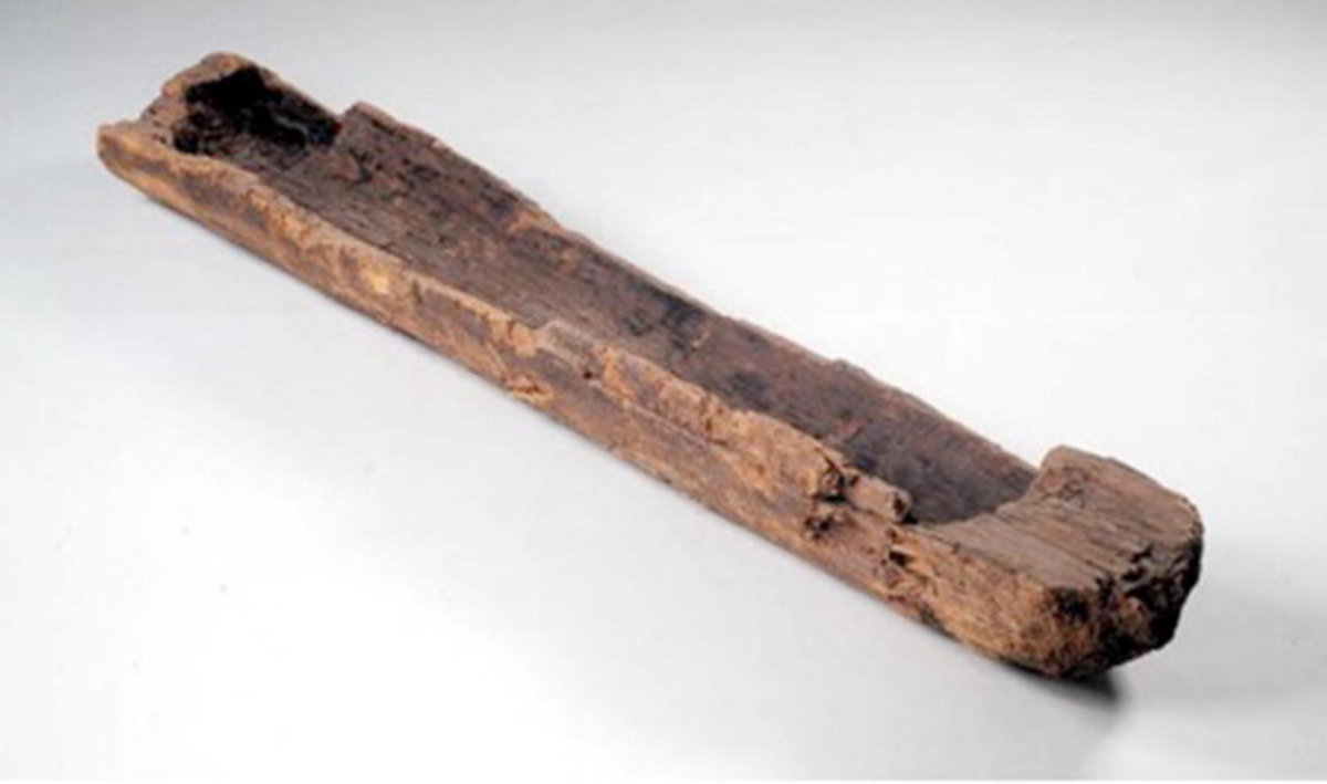Pesse Canoe: One of the oldest boats ever discovered