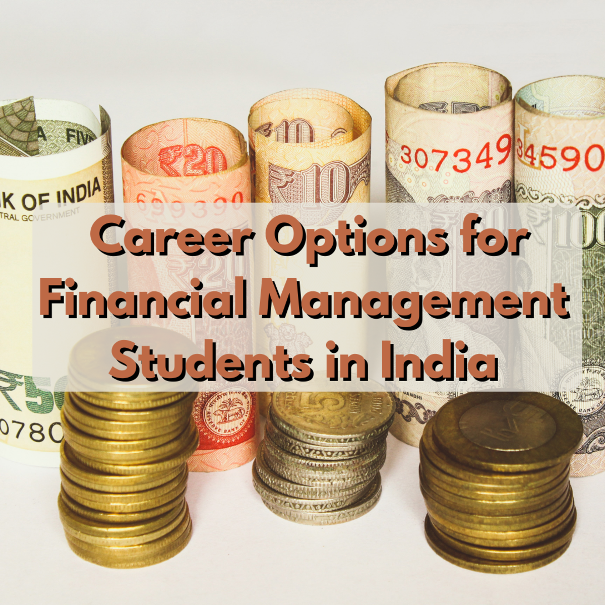 Read on to learn all about the career options available for financial management students in India, including the roles of financial analyst, investment banker, and more! Plus, you’ll also find advice for seeking professional mentors!