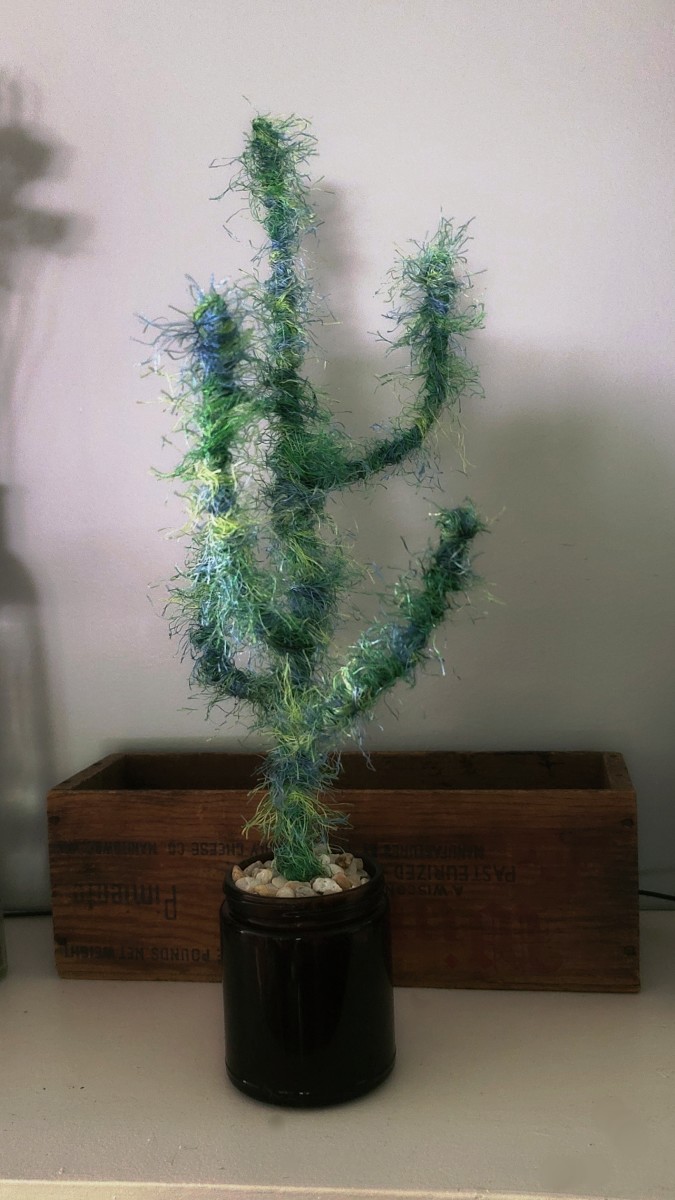Saguaro Cactus Craft