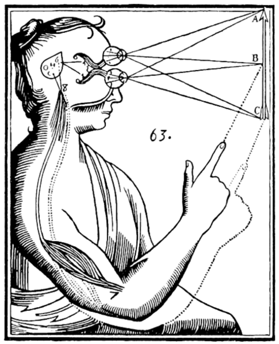 René Descartes' illustration of mind/body dualism.