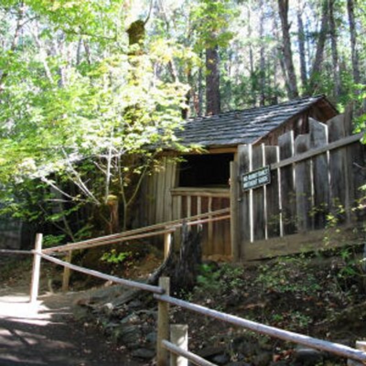 a-place-of-mystery-the-oregon-vortex