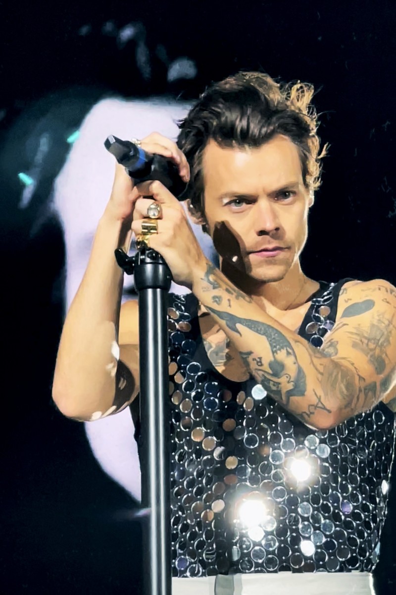10 Harry Styles Concert Outfits Ideas and Inspiration