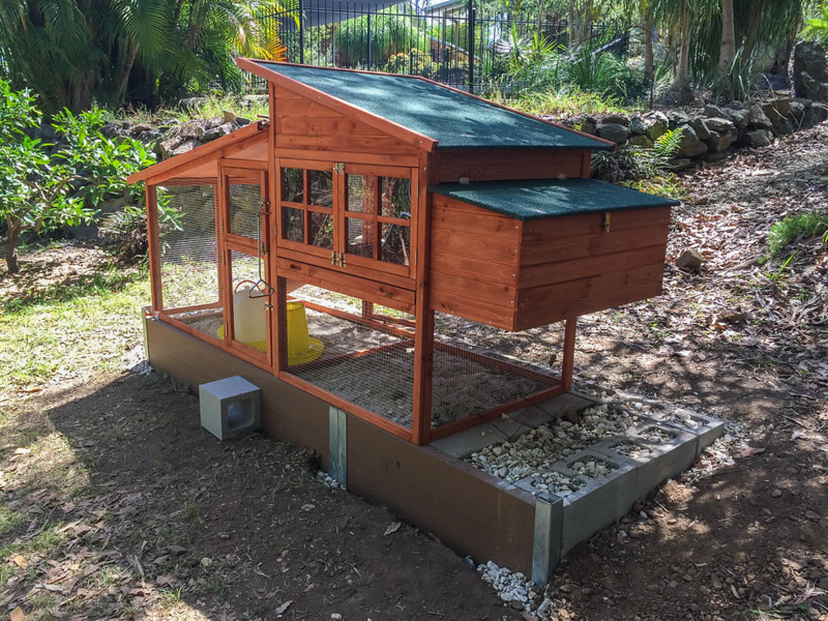 A coop with an attached free area is the best option since it allows your birds to go outside without coming into contact with waterfowl.