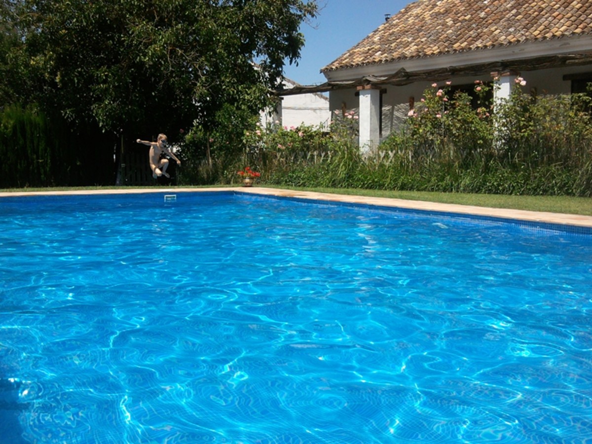Fun at the Finca Retama holiday home  swimming-pool.