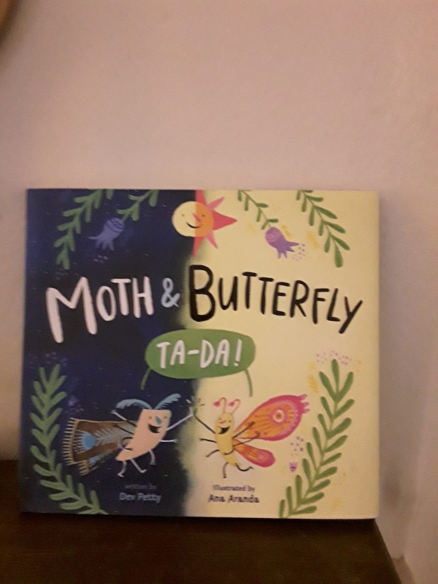 Moths and Butterflies Celebrate Their Differences and Adapt Their Friendship as Told in This Colorful Picture Book