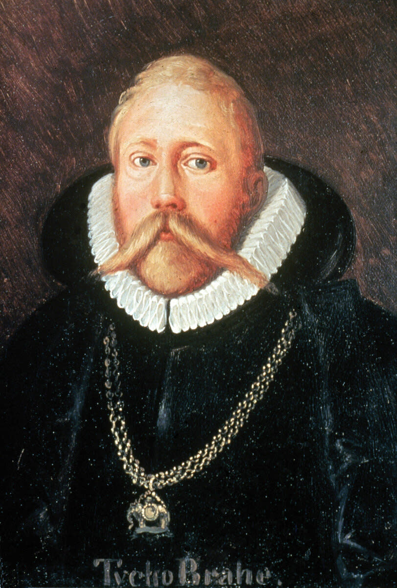 Portrait of Tycho Brahe.