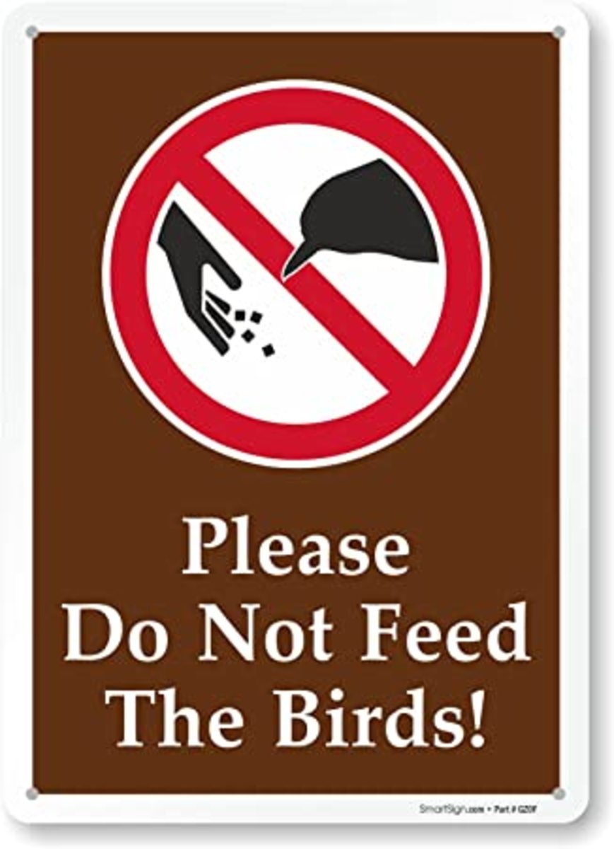 Please Do Not Feed The Birds!