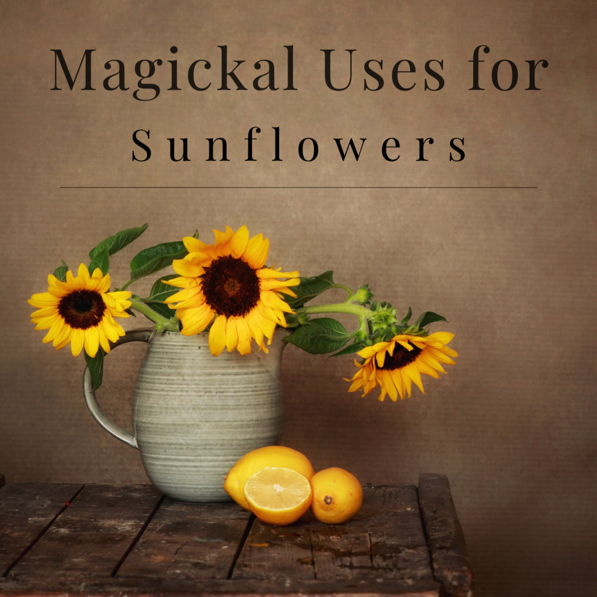 Sunflowers can enhance your magickal practice in multiple ways!