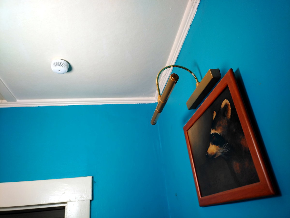 A view of the mounted smoke detector and my beloved ferret painting
