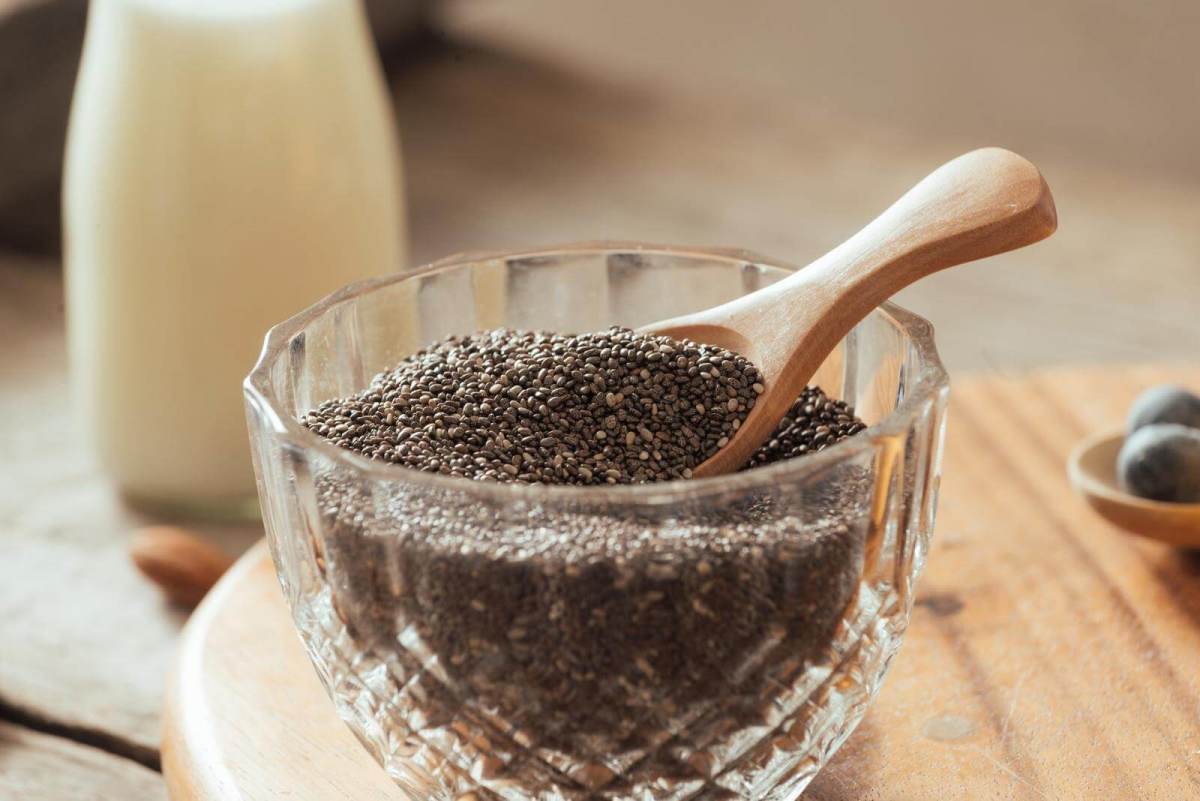 How to Grow and Harvest Chia In Your Garden
