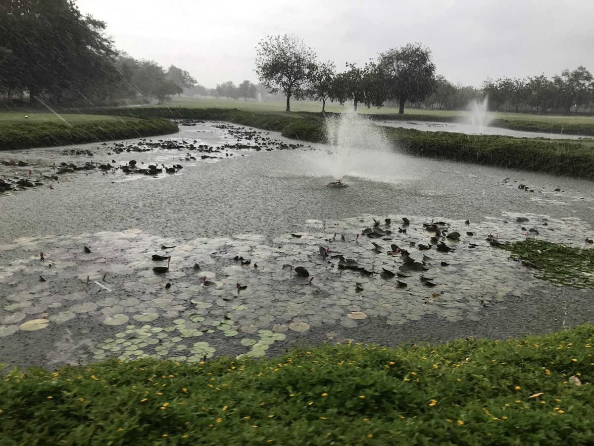 The first rains of this season captured on my mobile camera at Kensville Golf Resort, Ahmedabad .... Vanita Thakkar (19th June, 2022) 